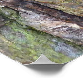 met mos bedekte boomschors poster (Hoek)
