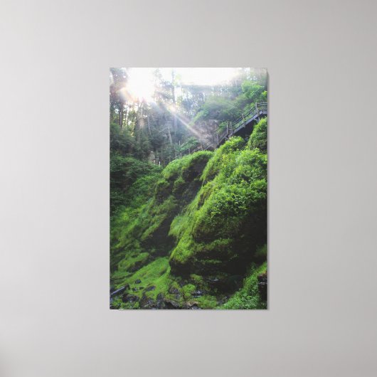 Met mos bedekte rotsen Canvas Print (Voorkant)