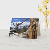 Met Mt. Charleston van de Sympathie door Boom Kaart (Gele Bloem)