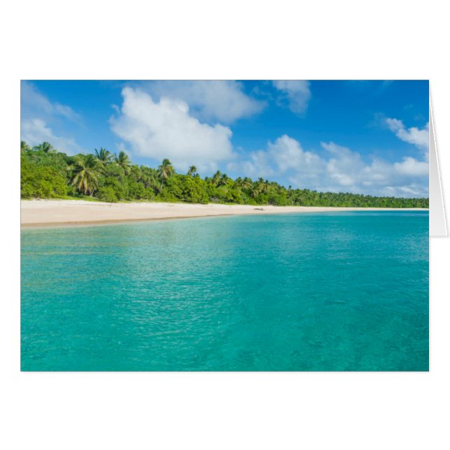 Met palmbomen omzoomd strand, Tonga (Voorkant Horizontaal)