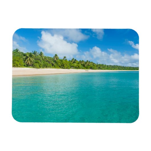 Met palmbomen omzoomd strand, Tonga Magneet (Horizontaal)