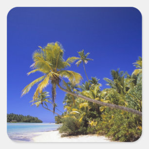 Met palmen omzoomd strand Cook Eilanden 7 Vierkante Sticker