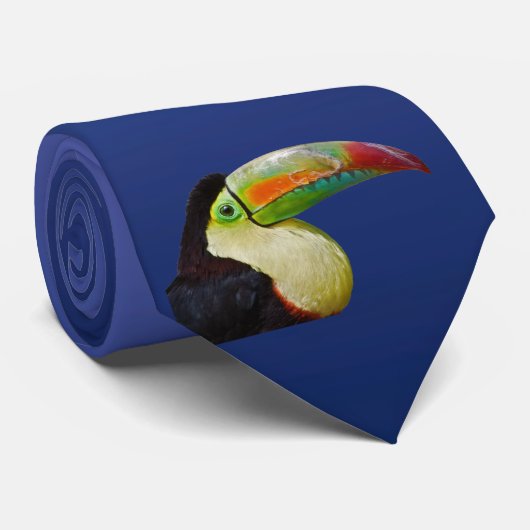 Met regenboogvulling kun je het Stropdas doen (lic (Opgerold)