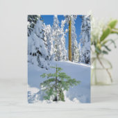 Met sneeuw bedekt bos in Oregon Bedankkaart (Staand voorkant)