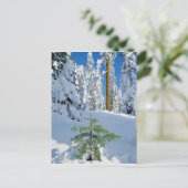 Met sneeuw bedekt bos in Oregon Briefkaart (Staand voorkant)
