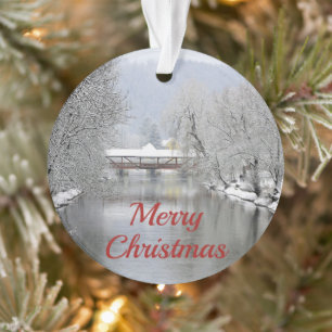 Met sneeuw bedekt kerstfeest ornament