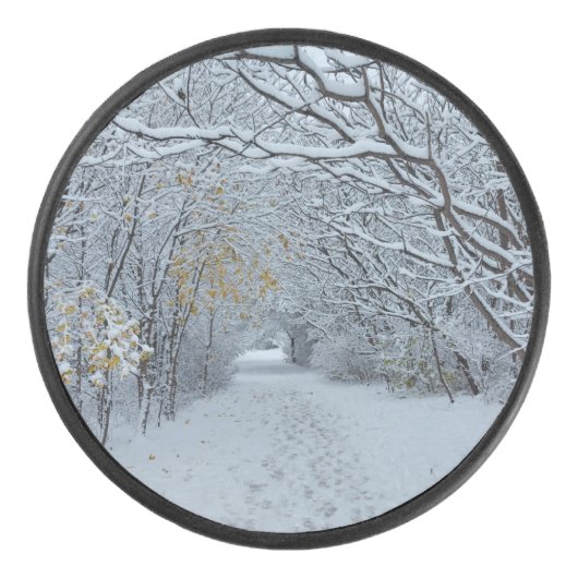 Met sneeuw bedekt park hockey puck (Voorkant)