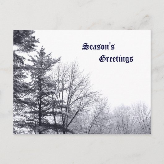 Met sneeuw bedekte bomen: horizontaal briefkaart (Voorkant)