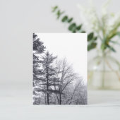 Met sneeuw bedekte bomen: verticaal briefkaart (Staand voorkant)