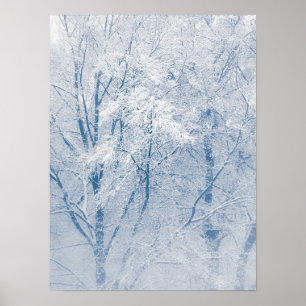 Met sneeuw bedekte bomen Winter Natuur Foto Poster