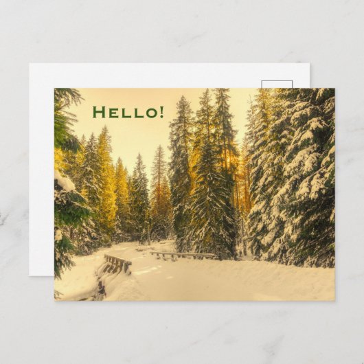 Met sneeuw bedekte pijnbomen Natuur van het bos Fo Briefkaart (Voorkant / Achterkant)