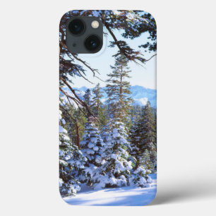 Met sneeuw bedekte rode dennenbomen in de High Sie iPhone 13 Hoesje