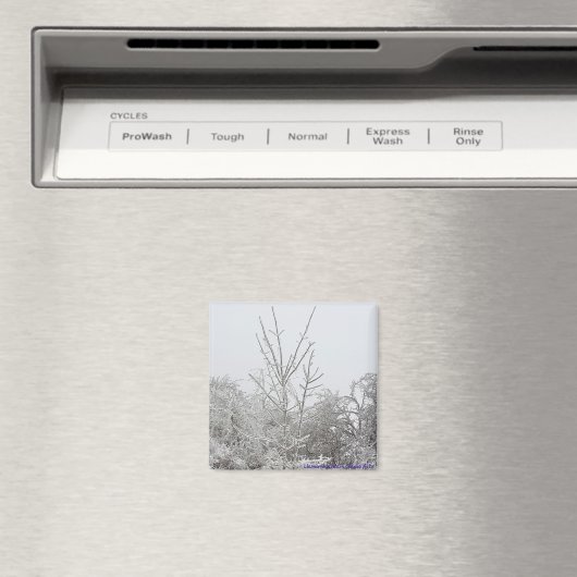 Met sneeuw en ijs bedekte bomen #1 magneet (Insitu (Vaatwasser))