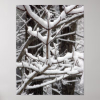 Met sneeuwbeklede bijkantoren