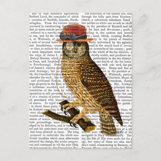 Met Steampunk Style Bowler Pet Briefkaart (Voorkant)