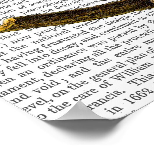 Met Steampunk Style Bowler Pet Poster (Hoek)