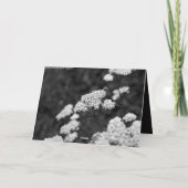 Met sympathie kaart (Achterkant)