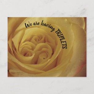 Met Triplets Yellow Rose New Baby kondiging Briefkaart