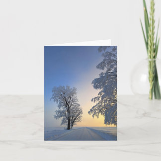Met vorst bedekte bomen notitiekaartje