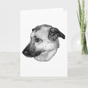 Met warme groet, zachte hond kaart