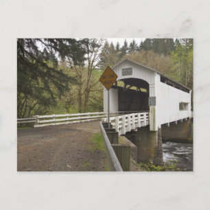 Met wilde katten bedekte brug, Lane County, Oregon Briefkaart