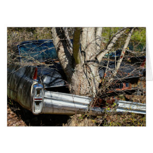 met wrakken afgeronde auto rond de boom