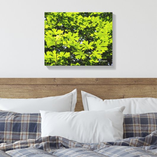 Met zondeklapte bladeren in het bos canvas afdruk (Insitu (Slaapkamer))