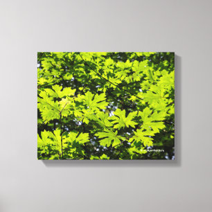 Met zondeklapte bladeren in het bos canvas afdruk