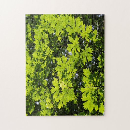 Met zondeklapte bladeren in het bos legpuzzel (Verticaal)