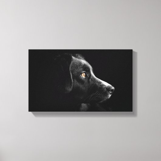 met zwarte labrador relayback omwikkeld canvas (Voorkant)