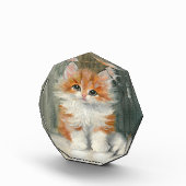 Meta Plückebaum  Schattige Kitten Schilderij Fotoblokken (Rechts)