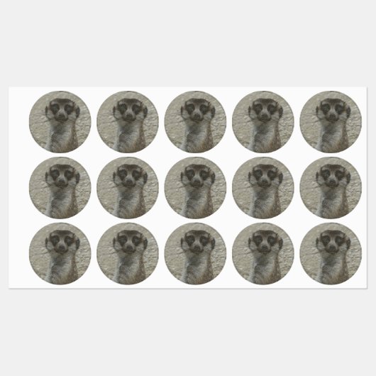 metaal labels (Vel)