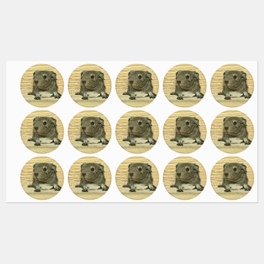 metaal labels (Vel)