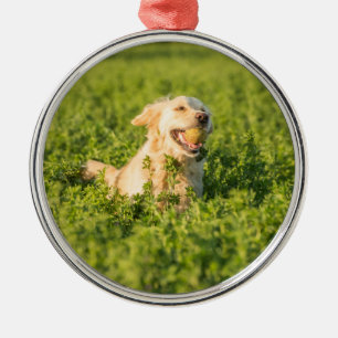Metaal siermiddel met afbeelding van Golden Retrie Metalen Ornament