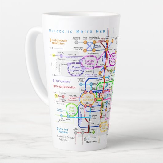 Metabole route latte mok (Linkerhoek)
