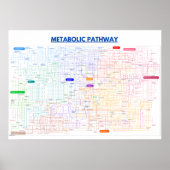 Metabole route van de cel poster (Voorkant)