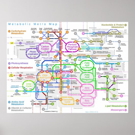 Metabole routeschema poster (Voorkant)