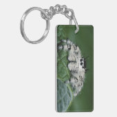 Metafid Jumping Spider Sleutelhanger (Voorkant Links)