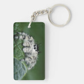 Metafid Jumping Spider Sleutelhanger (achterkant)