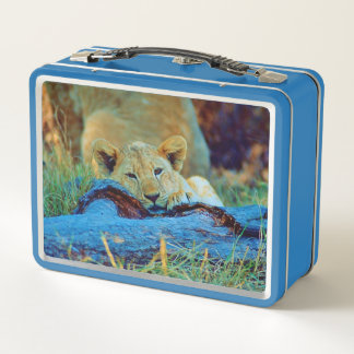 Metalen lunchbox leeuwenwelp
