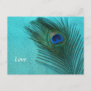 Metallic Aqua Blue Peacock Feather Briefkaart