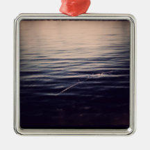 Ornement 2 de WaterPeace