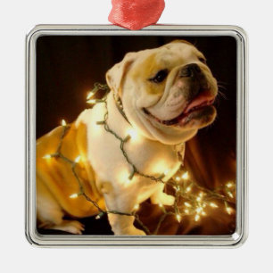 Métallique Ornement anglais d'arbre de Noël de bouledogue