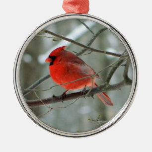 Métallique Ornement Cardinal Rouge Premium