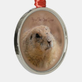 Métallique Ornement : Chien de prairie à queue noire (Rond Pr (Droite)