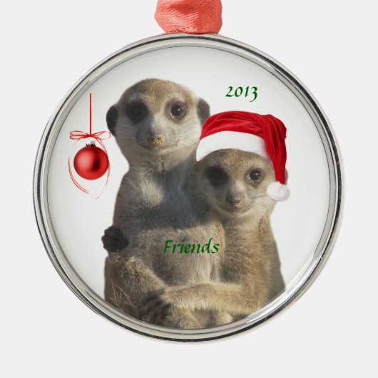 Métallique Ornement de 2013 amis (Devant)