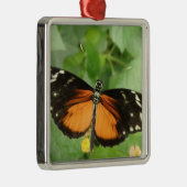 Métallique Ornement de papillon long tigre (Droite)