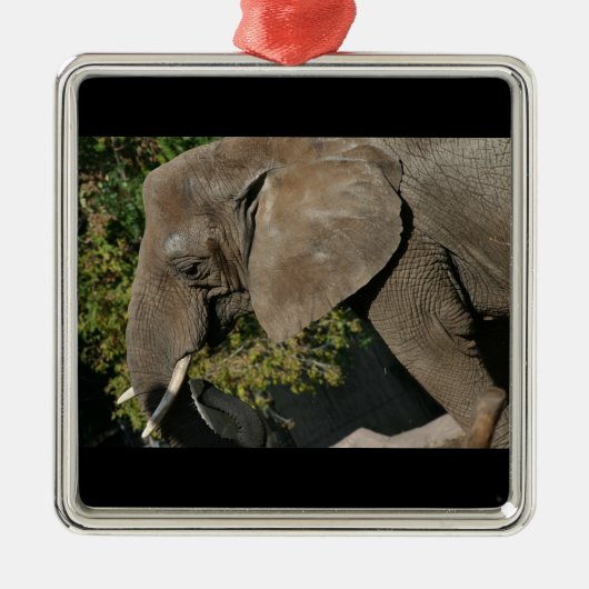 Métallique Ornement d'éléphant (Devant)