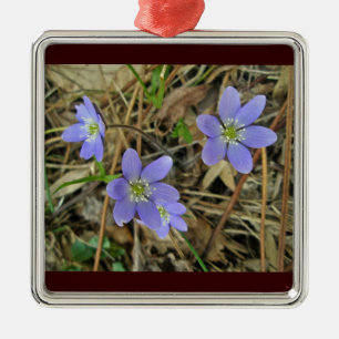 Métallique Ornement Fleur sauvage bleu doux Hepatica
