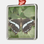 Métallique Ornement Papillon Tropical Noir et Blanc (Gauche)